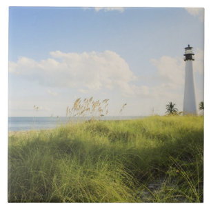 Bill Baggs Cape Florida Leuchtturm, Bill Baggs Fliese