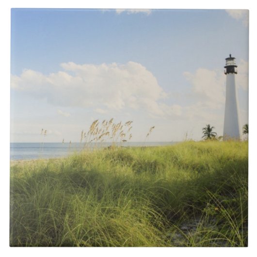 Bill Baggs Cape Florida Leuchtturm, Bill Baggs Fliese (Vorderseite)