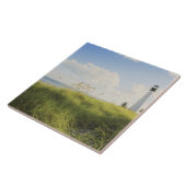 Bill Baggs Cape Florida Leuchtturm, Bill Baggs Fliese (Seite)