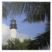 Bill Baggs Cape Florida Lighthouse, Bill Baggs 2 Fliese (Vorderseite)
