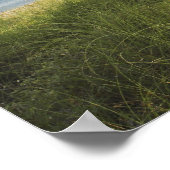 Bill Baggs Cape Florida Lighthouse, Bill Baggs Poster (Ecke)