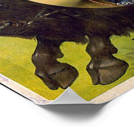 Bill Cody -1899 Poster (Ecke)