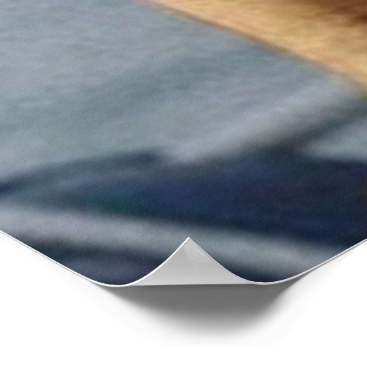 Bill Murray Life Aquatic Poster (Ecke)