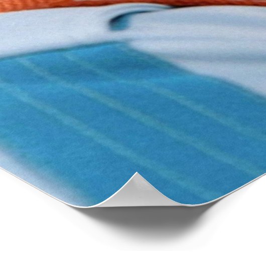 Bill Murray Life Aquatic Poster (Ecke)