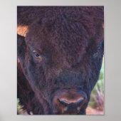 Bill-Portrait Poster (Vorne)