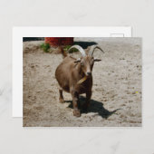 Bill Postkarte (Vorne/Hinten)