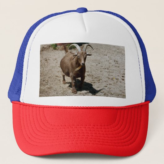 Bill Truckerkappe (Vorderseite)