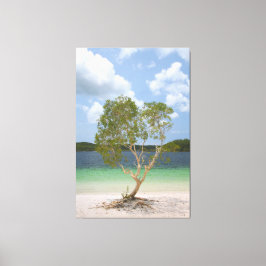 BILLABONG TREE 40x60 Leinwanddruck