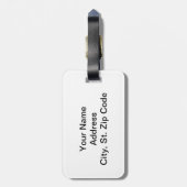 Billard Balls 🎱 und Pool Stick Gepäckanhänger (Rückseite vertikal)