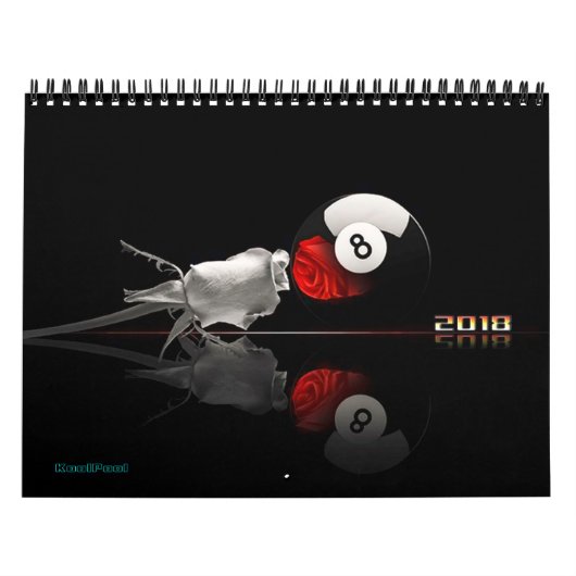 Billard trägt 2018 ein kalender (Titelbild)