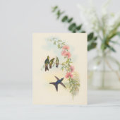 Billardschnabel | John Gould Postkarte (Stehend Vorderseite)