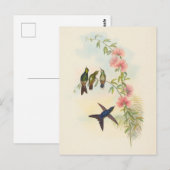 Billardschnabel | John Gould Postkarte (Vorne/Hinten)