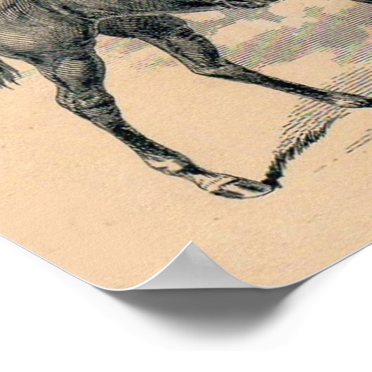 Billhead von Lay Whip Company aus den 1880er Jahre Poster (Ecke)