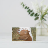 Bills füttern u. säen visitenkarte (Stehend Vorderseite)