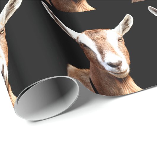 Billy Geschenkpapier (Rolleneckpunkt)