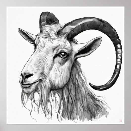 Billy Goat - Art Print Poster (Vorne)