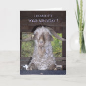 BILLY GOAT BIRTHDAY CARD KARTE (Vorderseite)