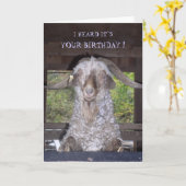 BILLY GOAT BIRTHDAY CARD KARTE (Gelbe Blume)