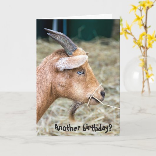 Billy Goat Birthday Karte (Gelbe Blume)