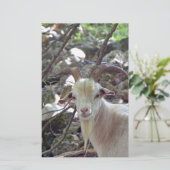 Billy Goat Briefpapier (Stehend Vorderseite)