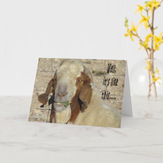 Billy Goat Card - für jeden Anlass Karte (Gelbe Blume)