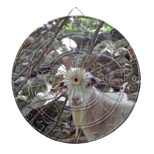 Billy Goat Dartscheibe (vorne)