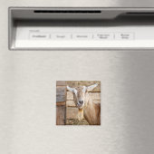 Billy Goat Eating Magnet (In Situ (Geschirrspüler))