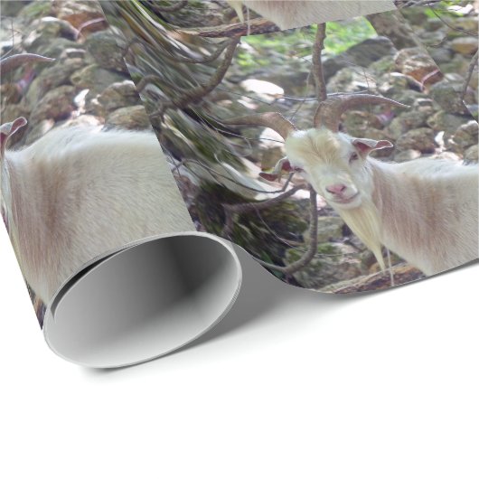 Billy Goat Geschenkpapier (Rolleneckpunkt)