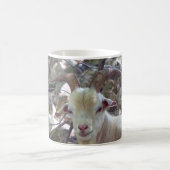Billy Goat Kaffeetasse (Mittel)