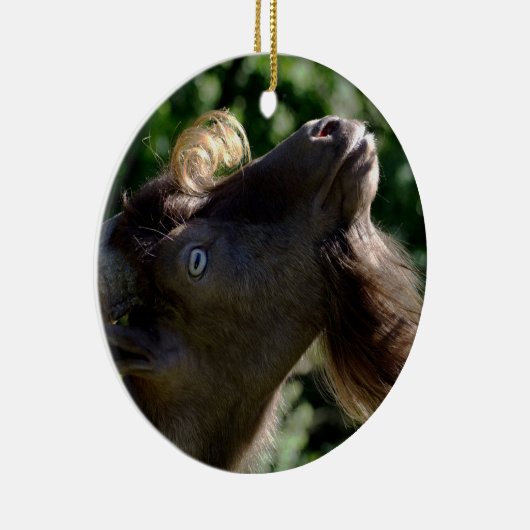 Billy Goat Keramik Ornament (Rechts)