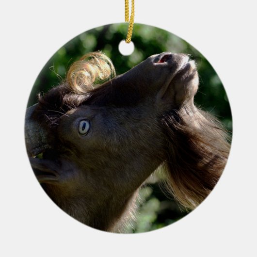 Billy Goat Keramikornament (Vorne)