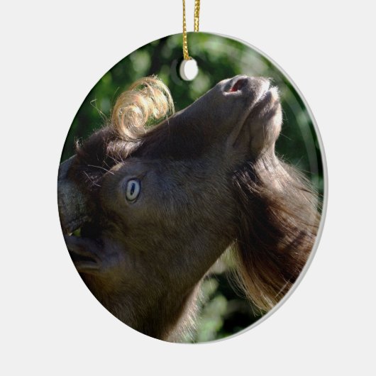 Billy Goat Keramikornament (Links)