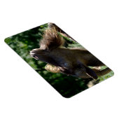 Billy Goat Magnet (Rechte Seite)