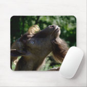 Billy Goat Mousepad (Mit Mouse)