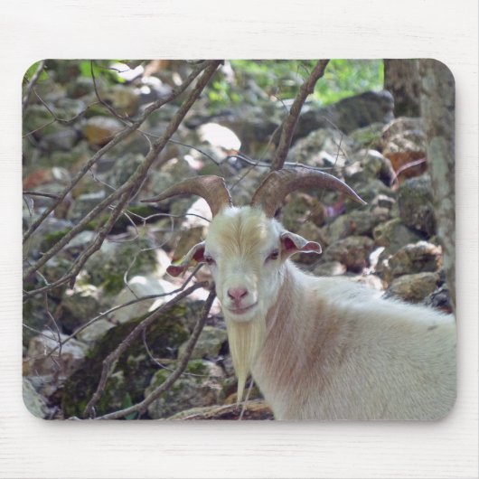 Billy Goat Mousepad (Vorne)