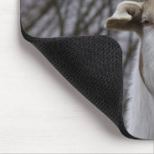 Billy Goat Mousepad (Ecke)
