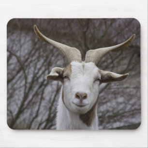 Billy Goat Mousepad