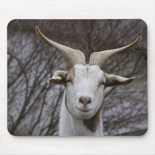 Billy Goat Mousepad (Vorne)