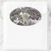Billy Goat Ovaler Aufkleber (Tasche)