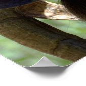 Billy Goat Poster (Ecke)