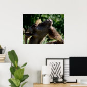 Billy Goat Poster (Heimbüro)