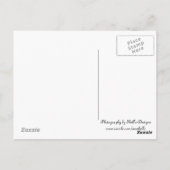 Billy Goat Postkarte (Rückseite)