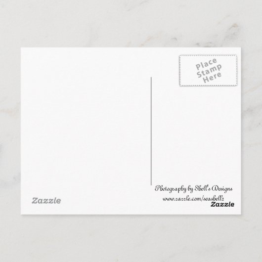 Billy Goat Postkarte (Rückseite)