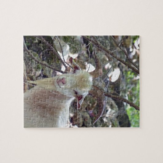 Billy Goat Puzzle (Horizontal)