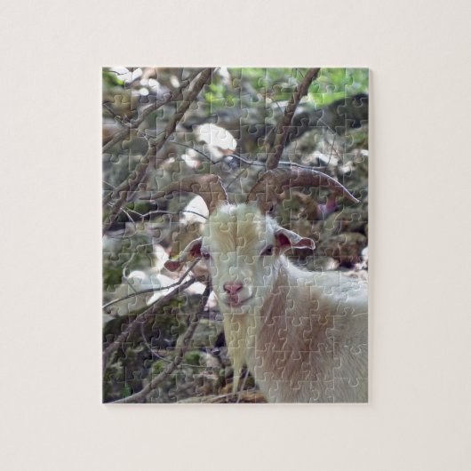 Billy Goat Puzzle (Vertikal)