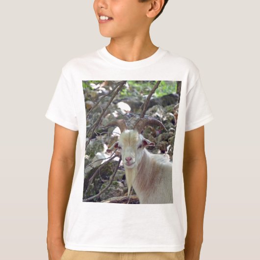 Billy Goat T-Shirt (Vorderseite)