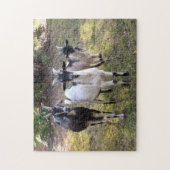 Billy Goats Puzzle (Vertikal)
