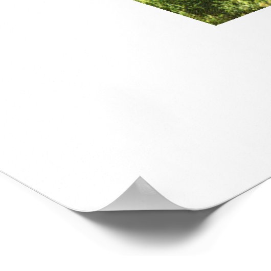 BILLY IN AUSTRALIEN POSTER (Ecke)