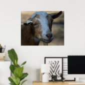 Billy Poster (Heimbüro)