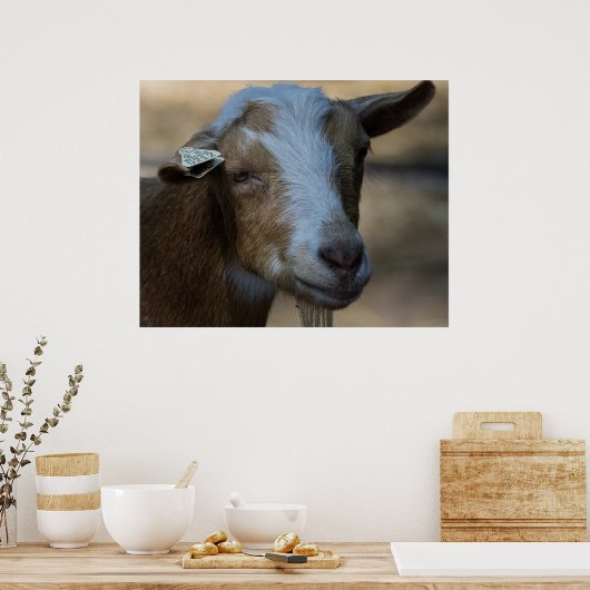 Billy Poster (Küche)